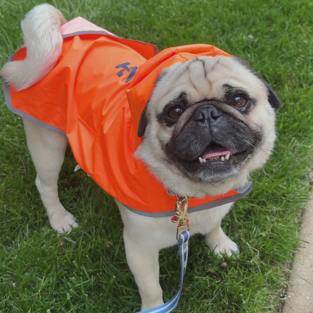 IZOD Pet - Packable Raincoat