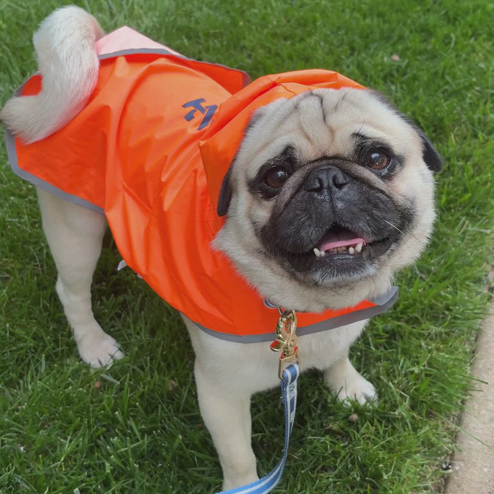 IZOD Pet - Packable Raincoat