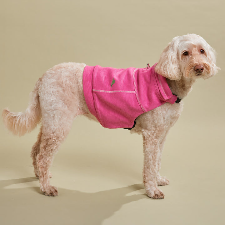 Quarter Zip - Tommy Bahama® - Pink