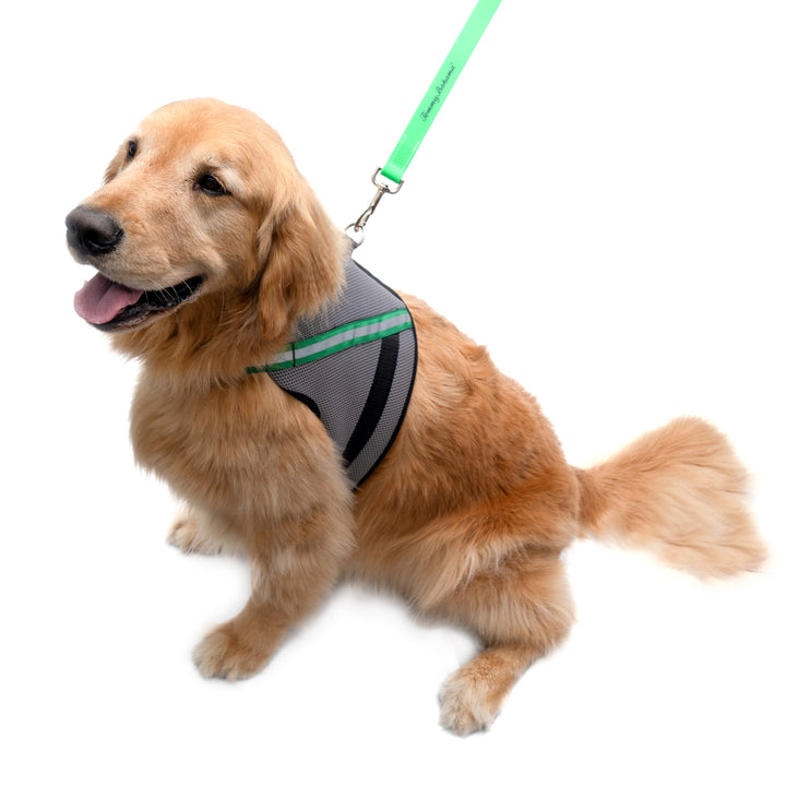 k9wear apparel harness
