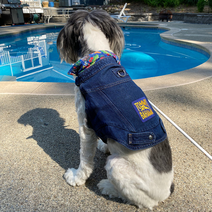 Denim Jacket - Tommy Bahama®