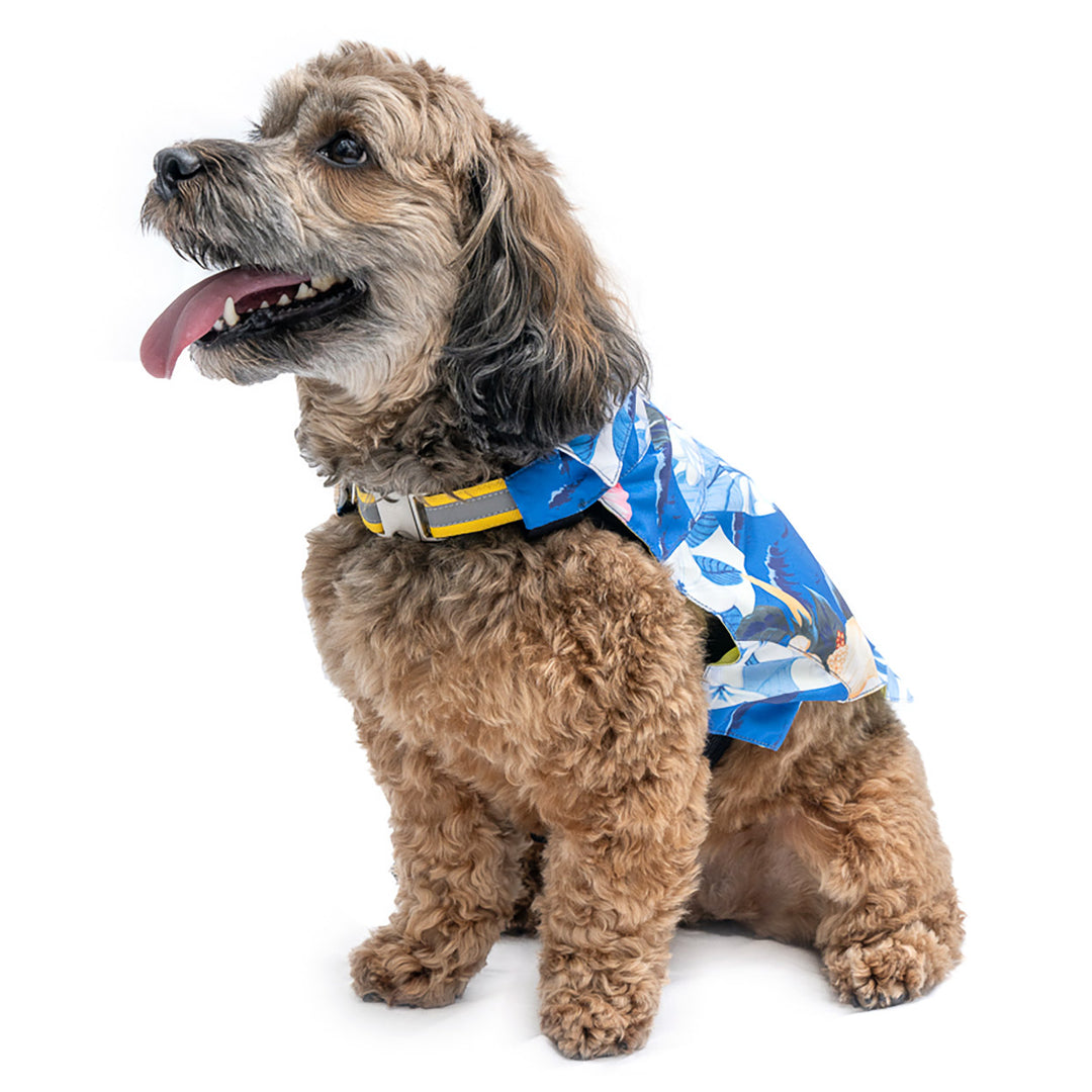 Tommy Bahama® Starter Kit - Hawaiian Shirt - Blue