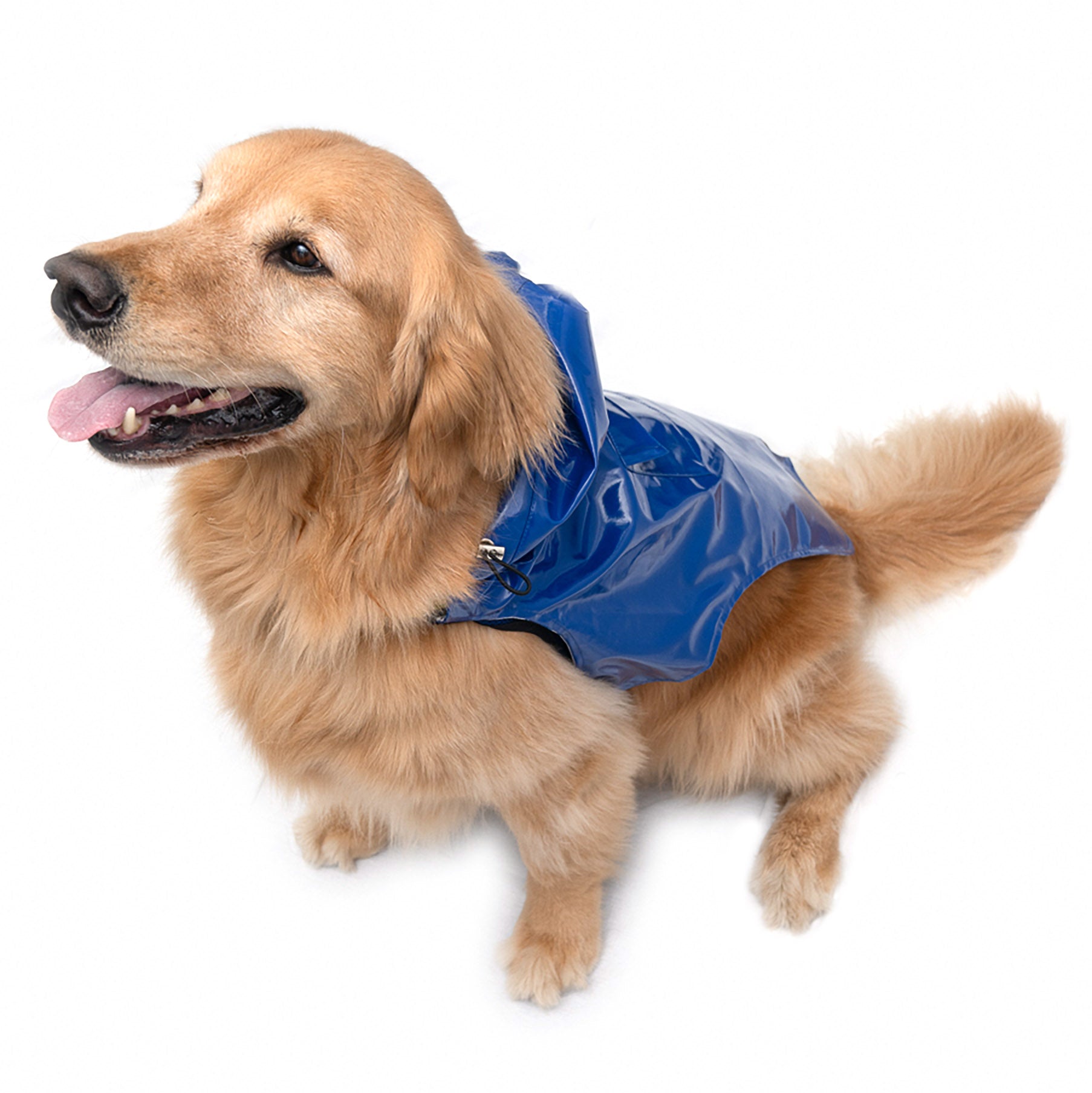 Tommy Bahama® Starter Kit - Raincoat - Blue