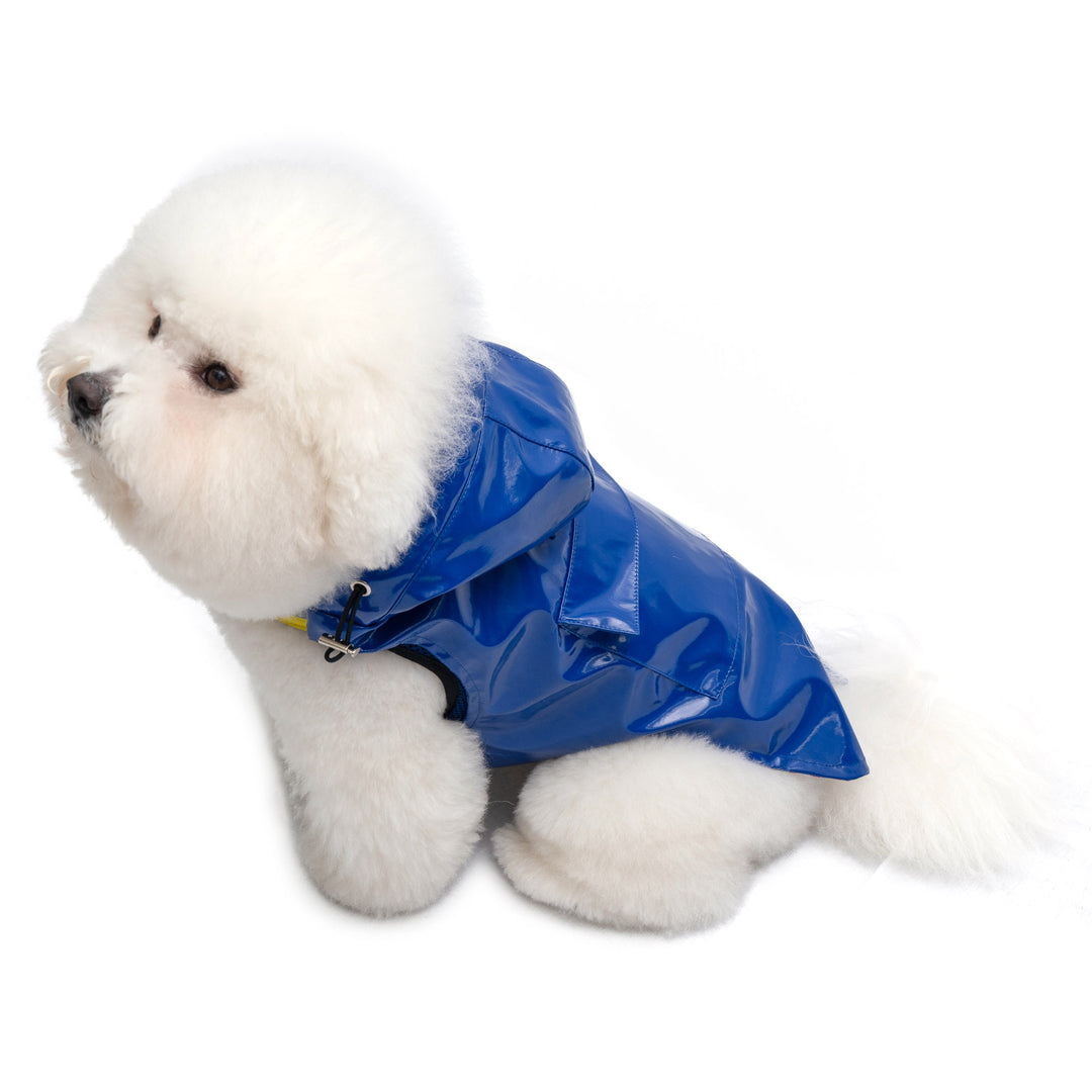 Raincoat - Tommy Bahama® - Blue