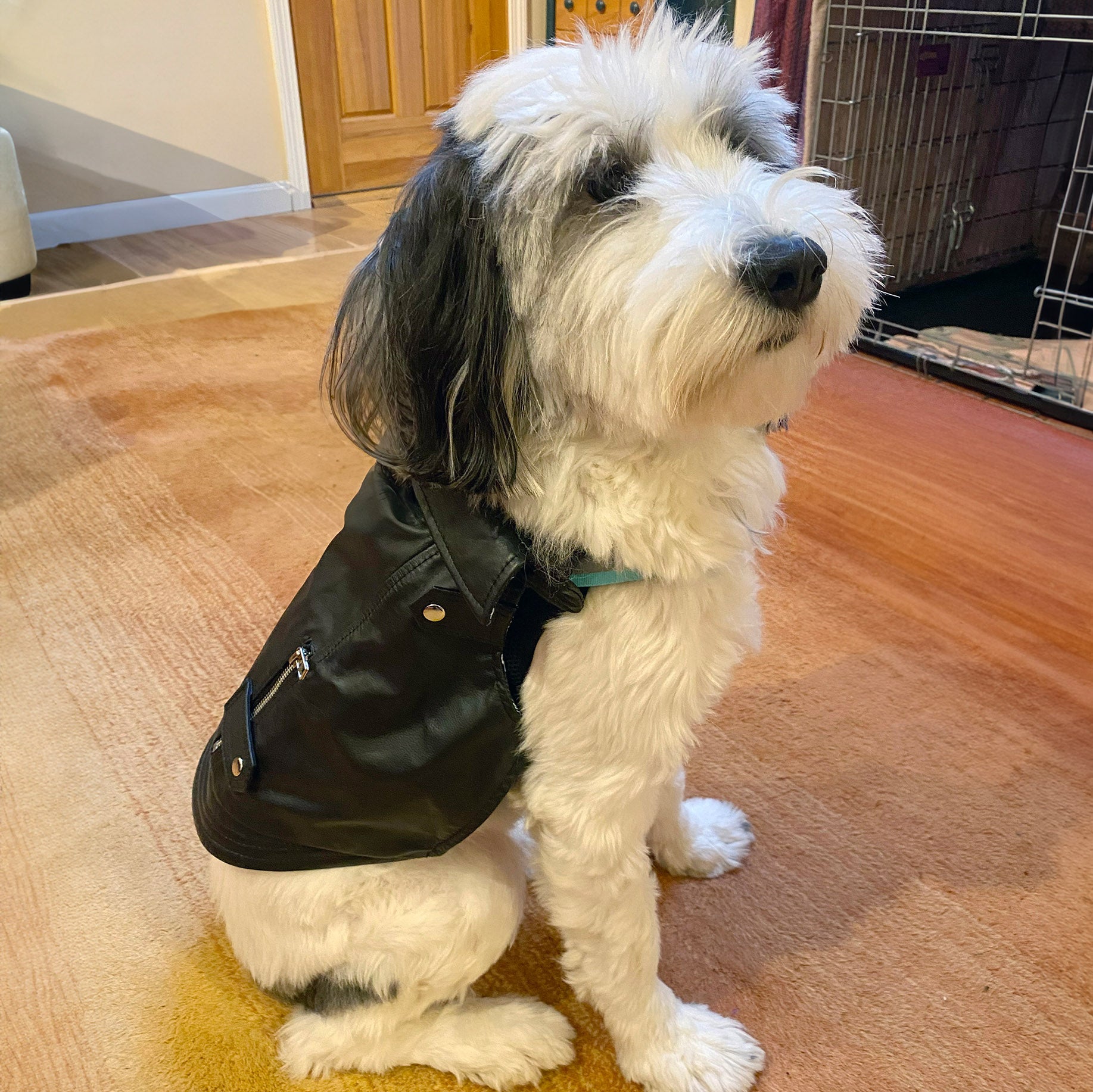 Genuine Leather Jacket - K9 Wear®