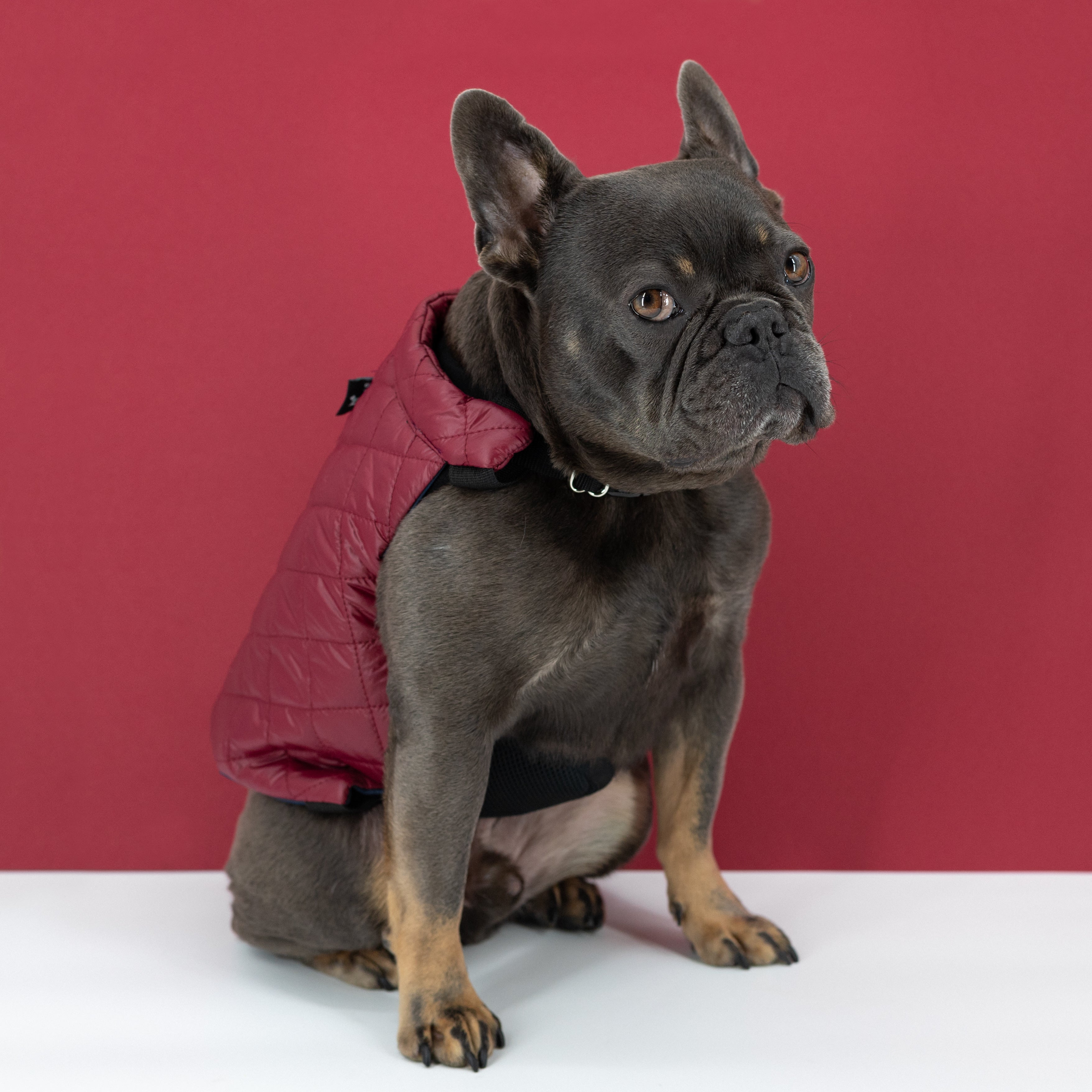 Dog Quilted Puffer Jacket (K9 Harness Required)