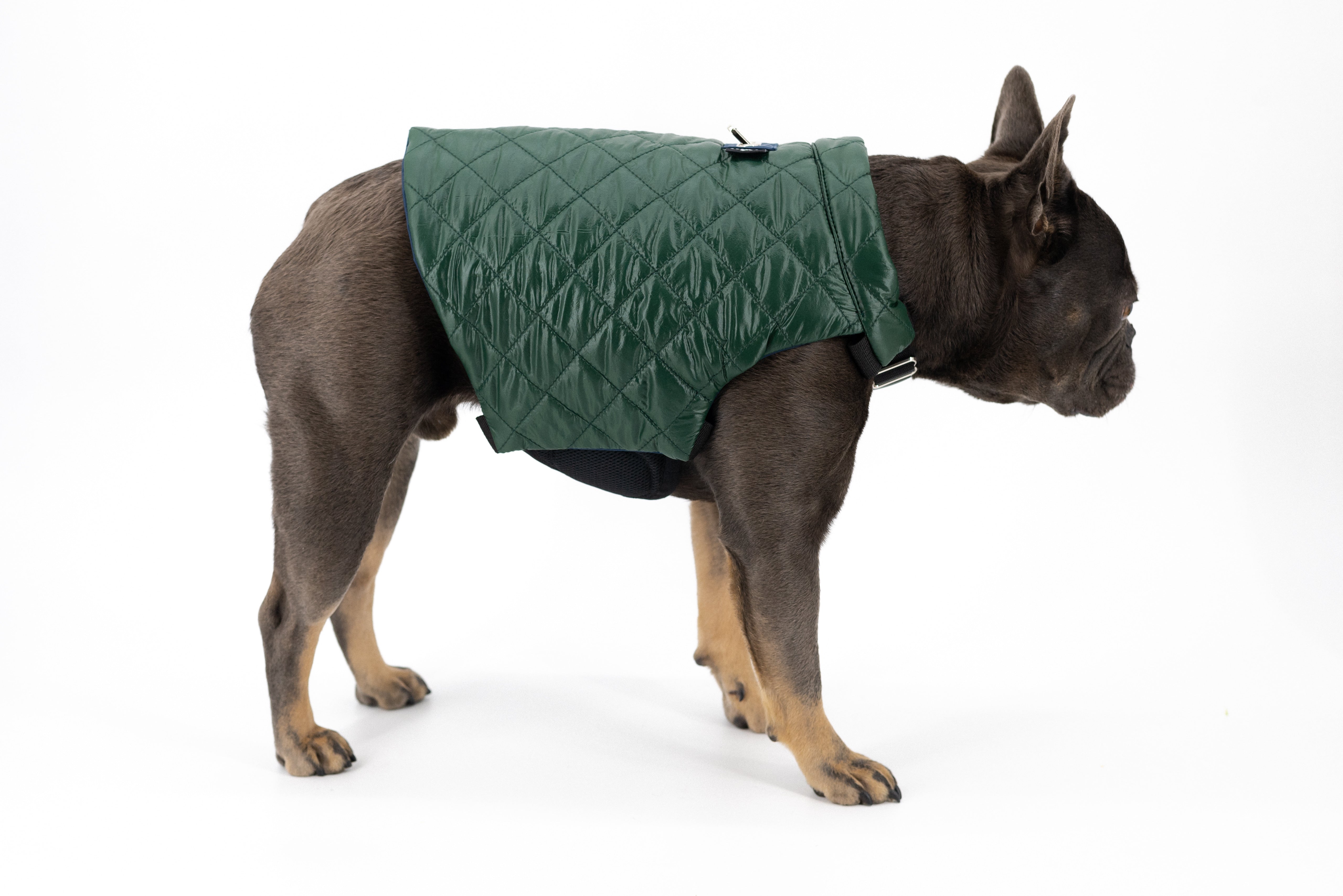 Dog Quilted Puffer Jacket (K9 Harness Required)