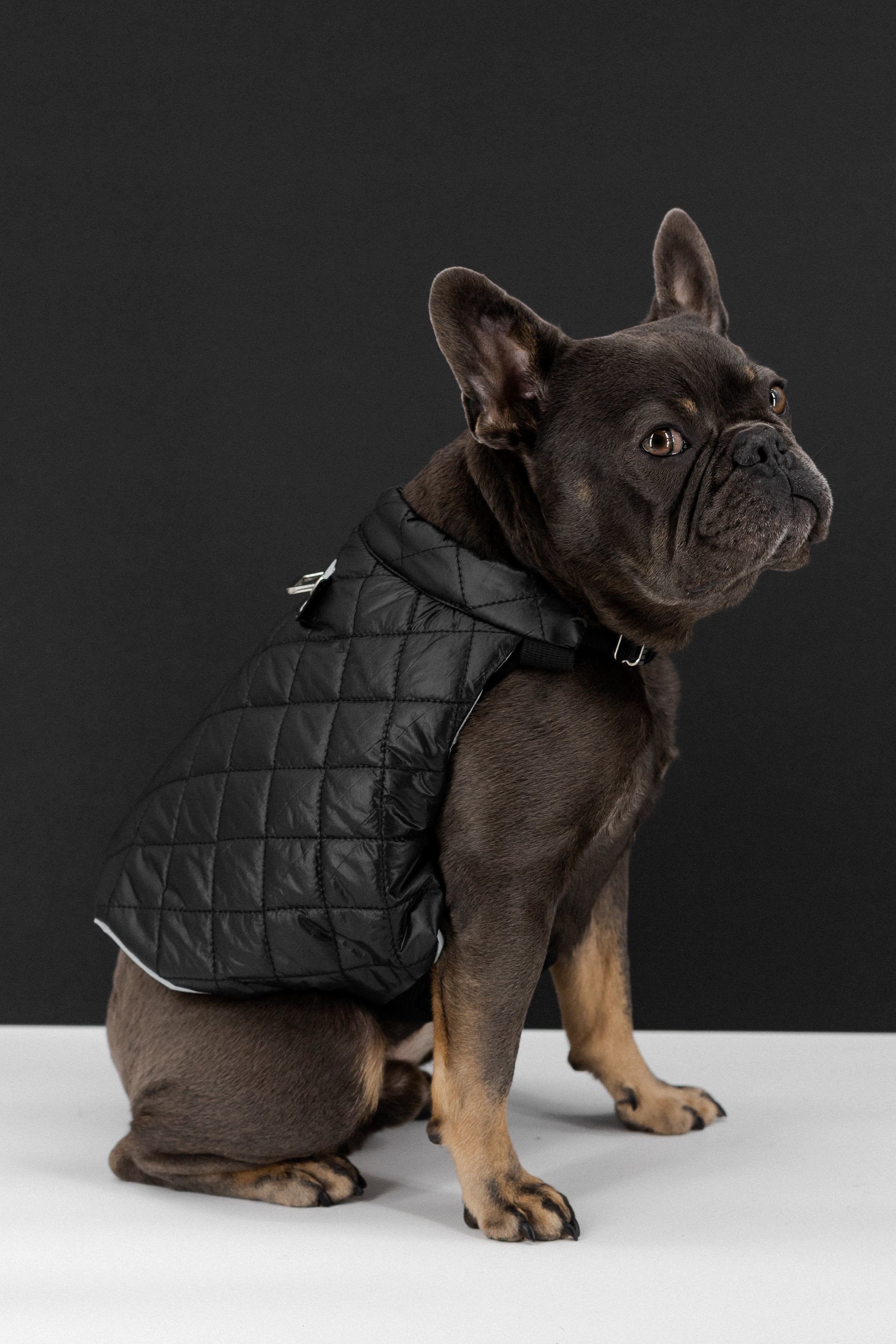 Dog Quilted Puffer Jacket (K9 Harness Required)