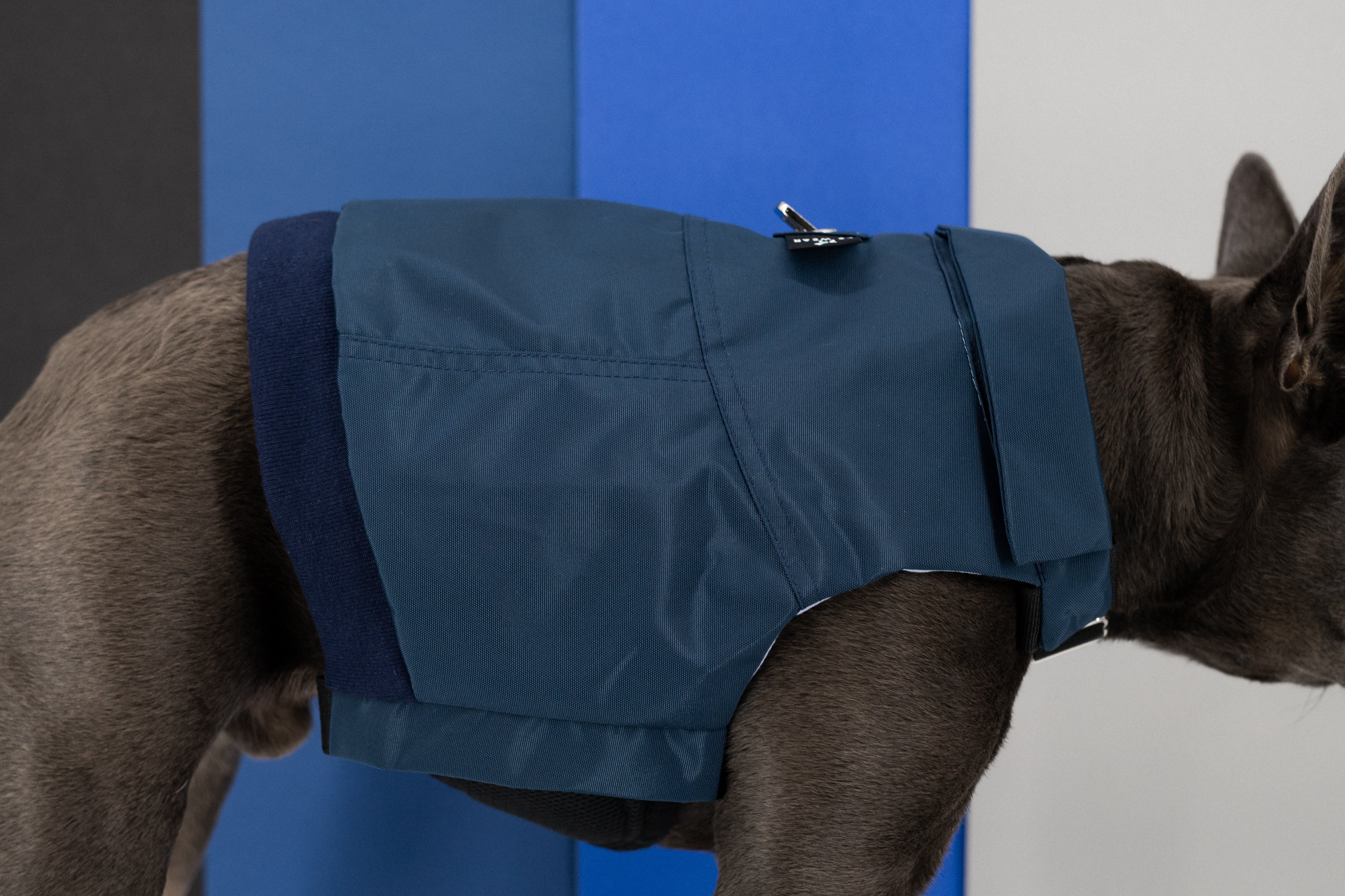 Dog Bomber Jacket (K9 Harness Required)