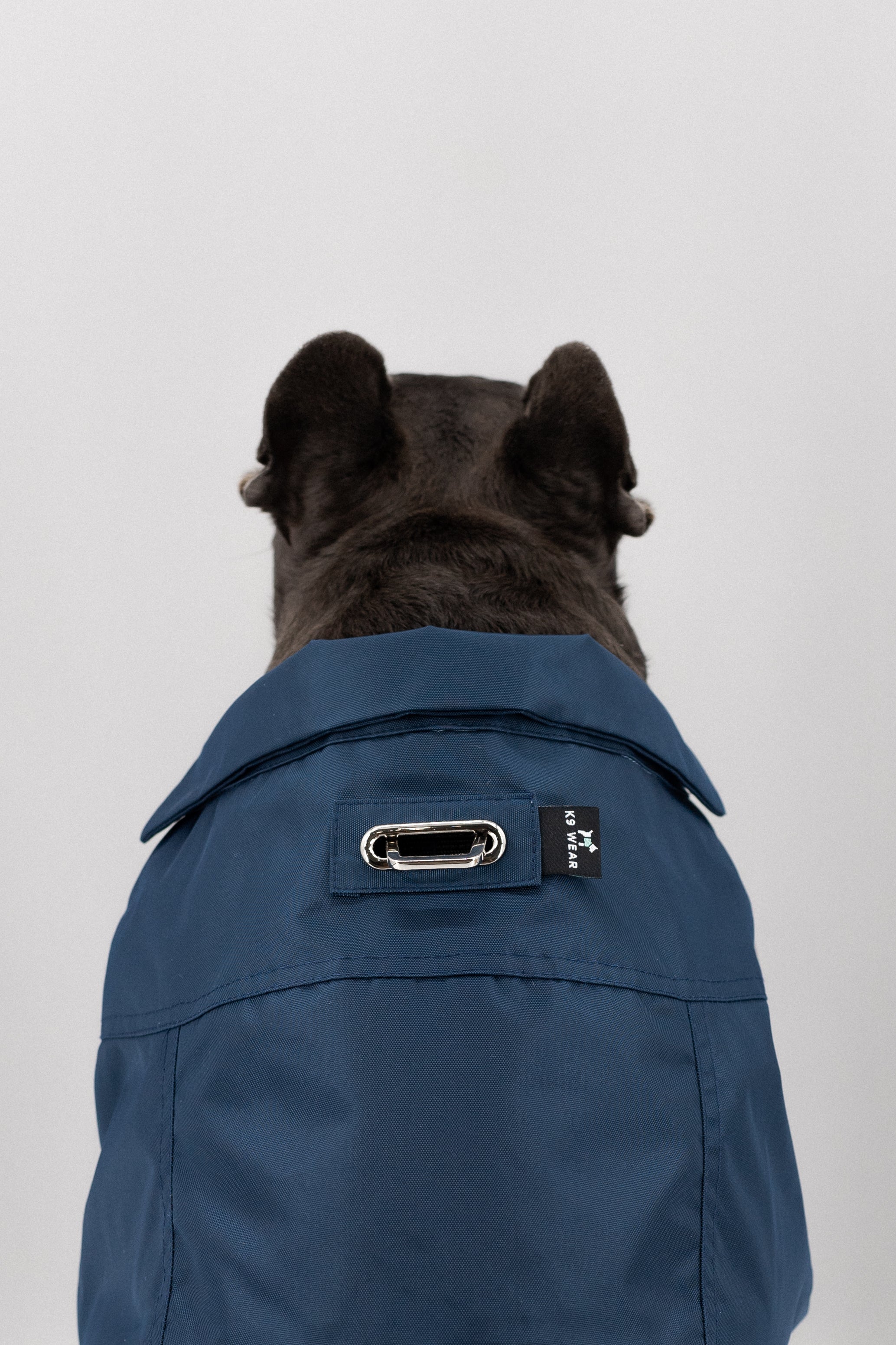 Dog Bomber Jacket (K9 Harness Required)