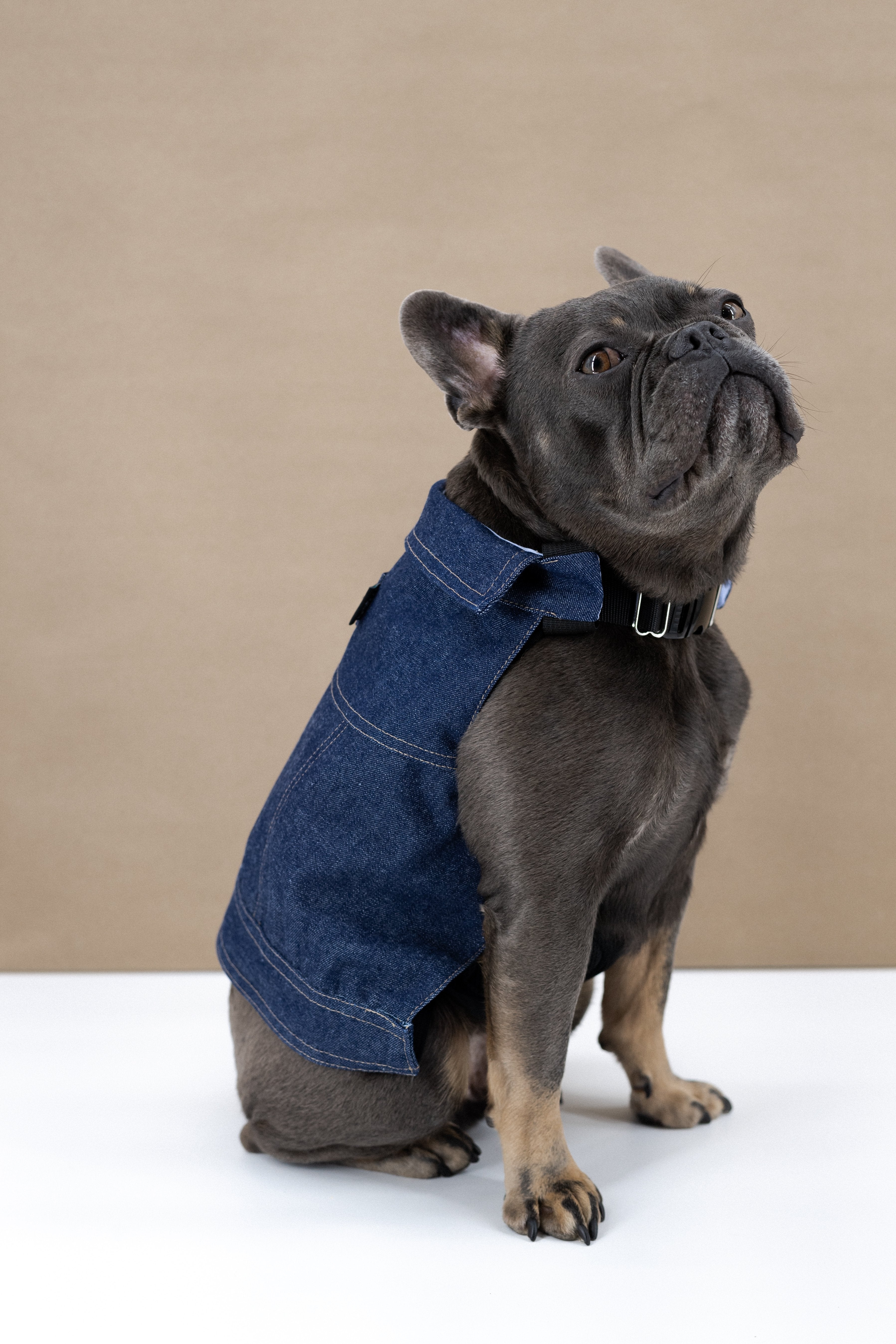 Dog Denim Jacket (K9 Harness Required)