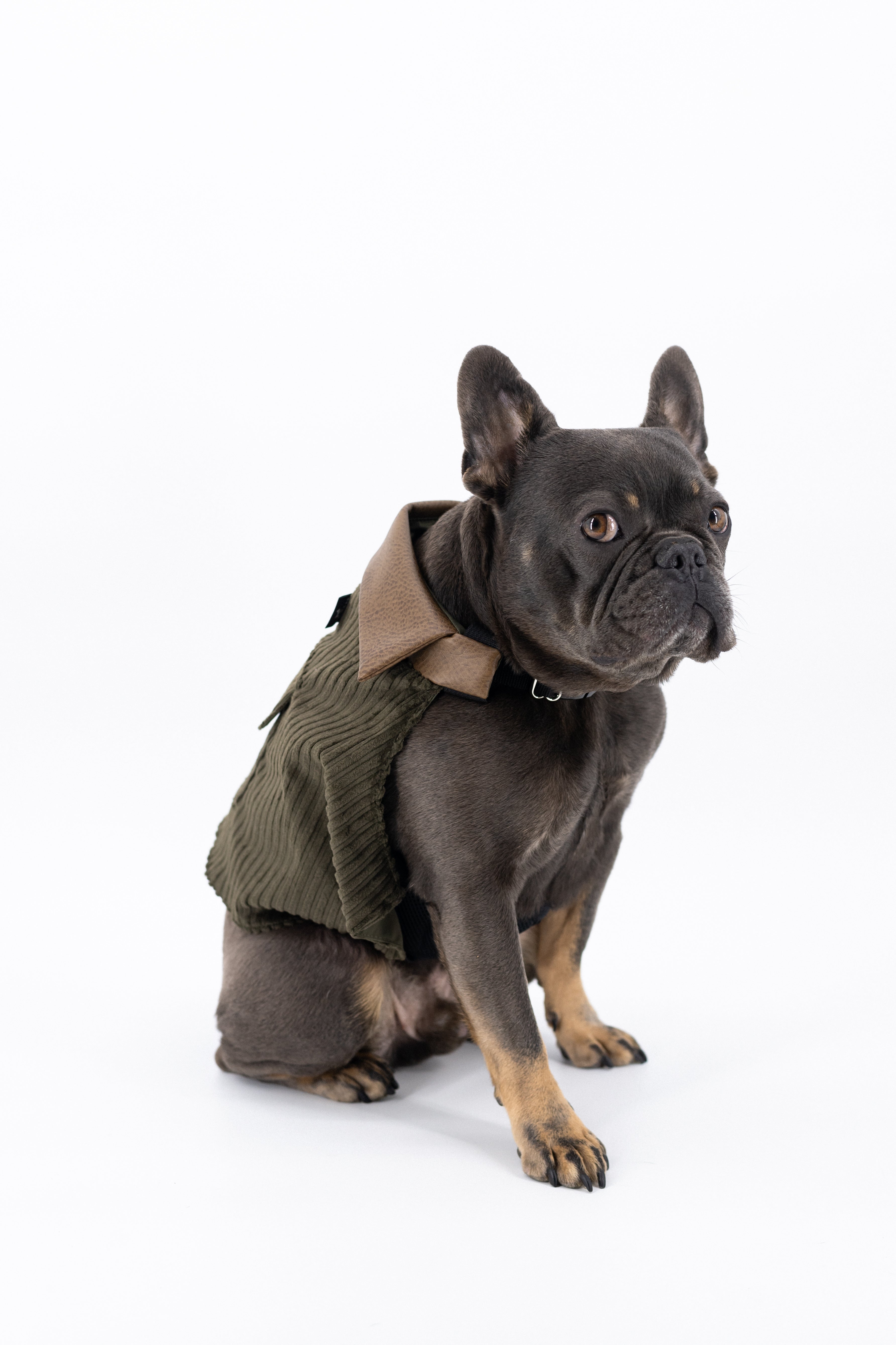 Dog Corduroy Jacket (K9 Harness Required)