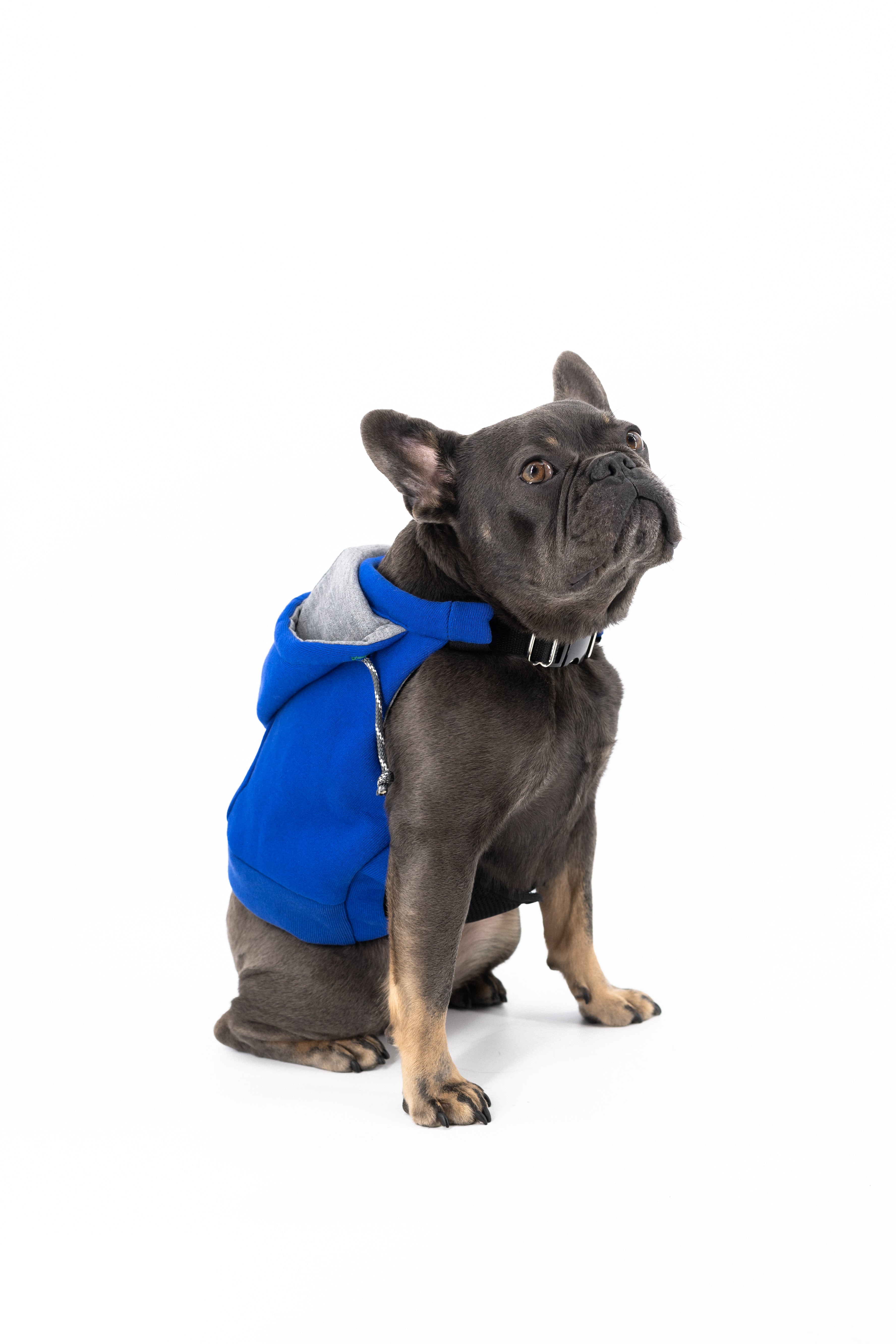 Dog Hooded Sweatshirt (K9 Harness Required)