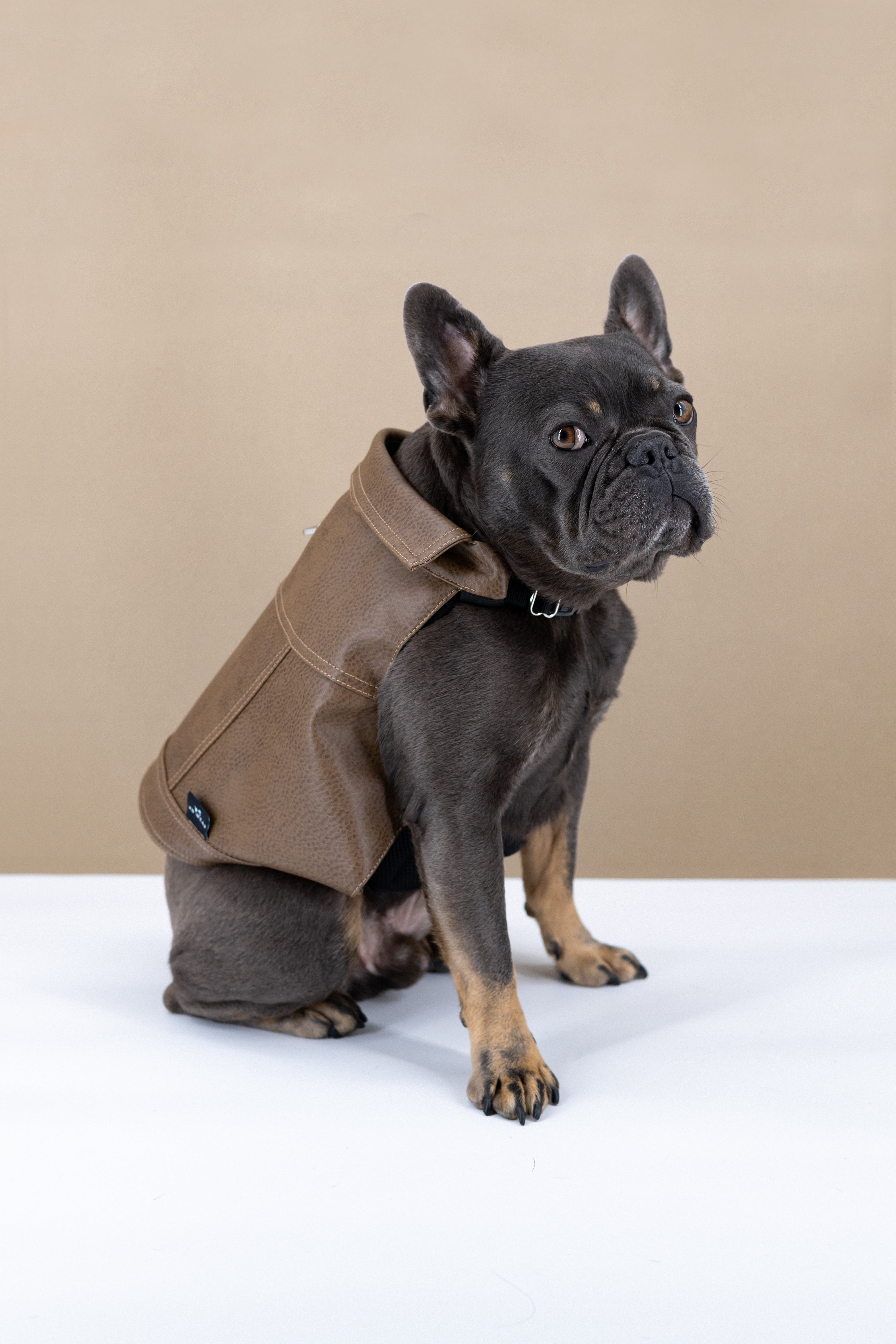 Dog Vegan Leather Jacket (K9 Harness Required)