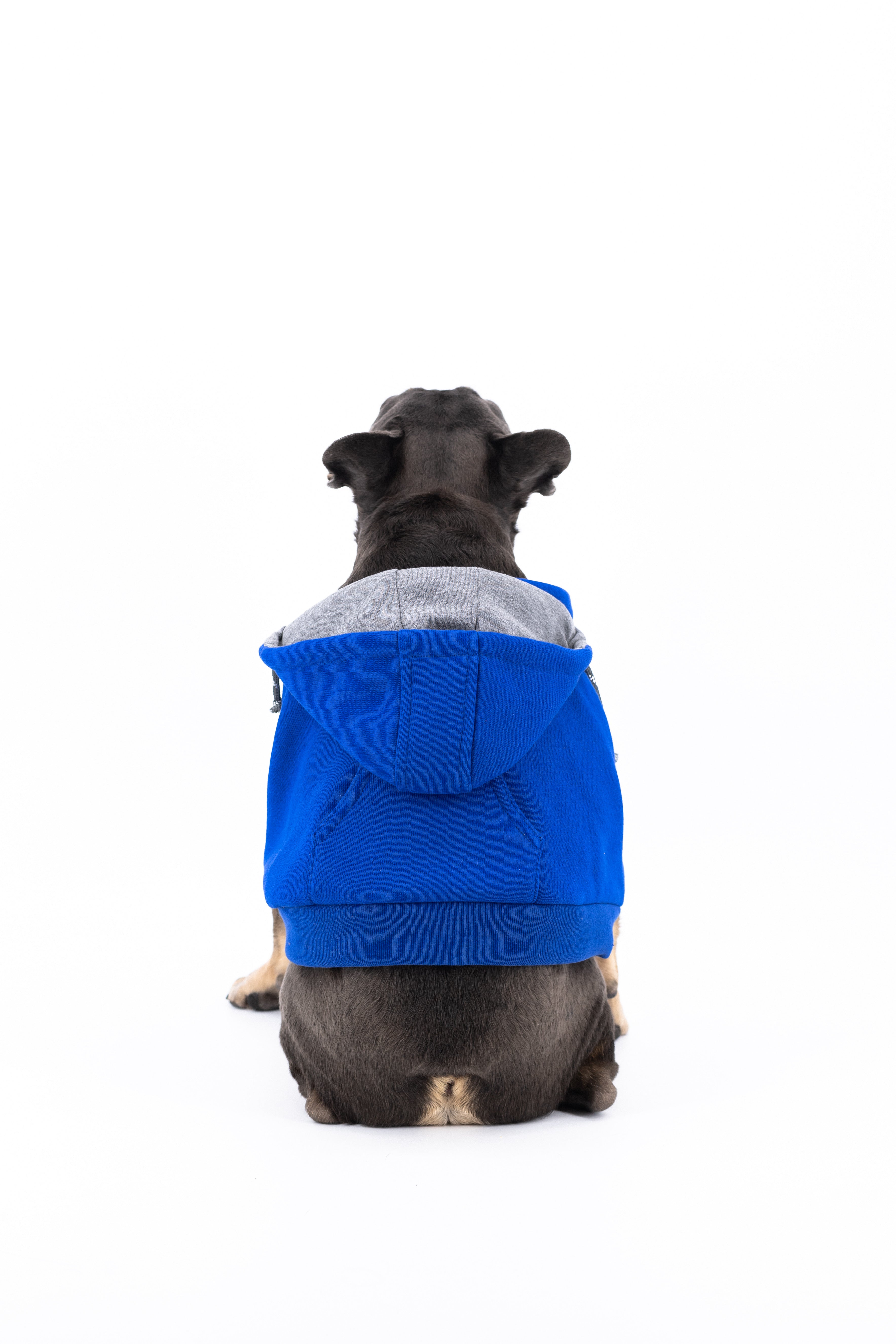 Dog Hooded Sweatshirt (K9 Harness Required)