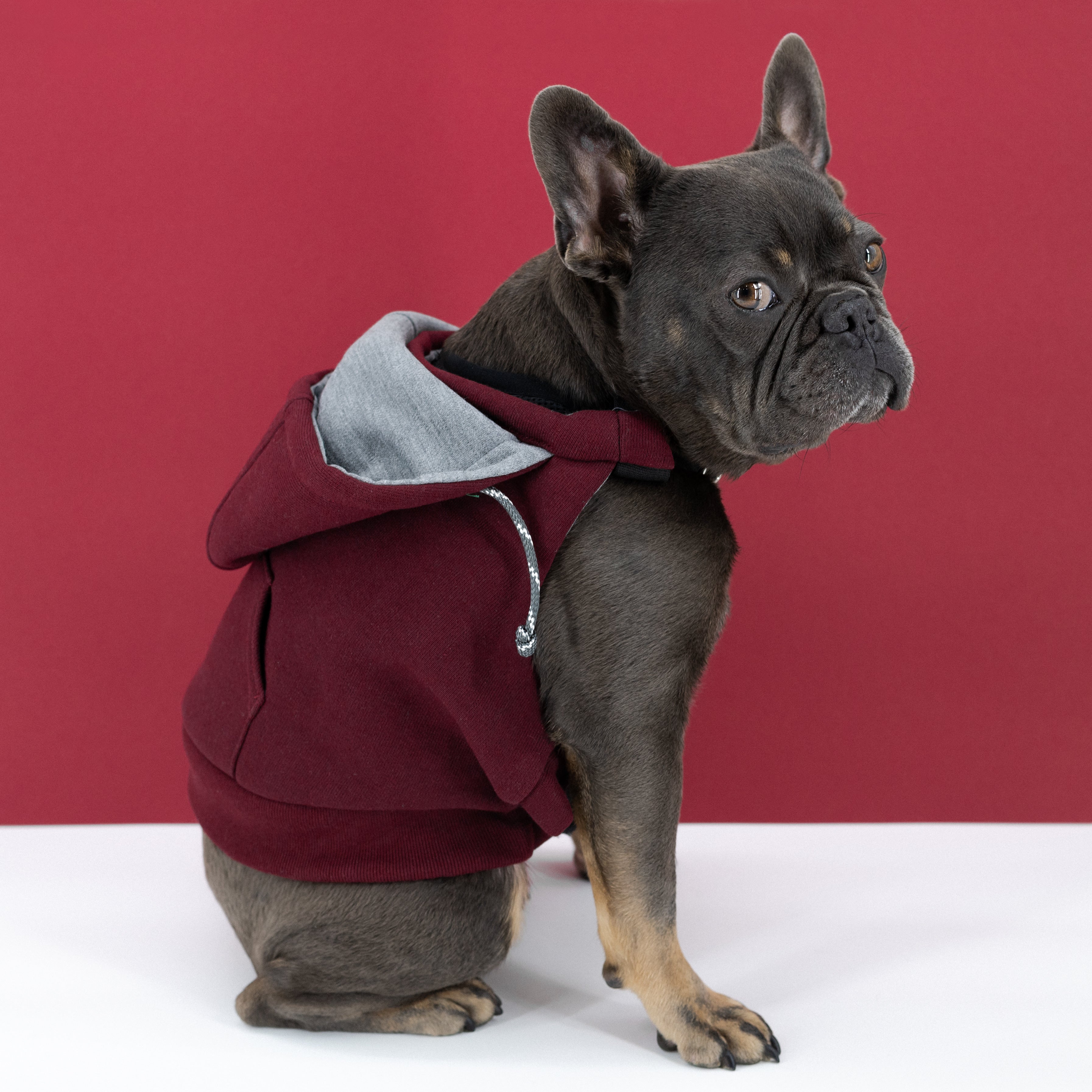 Dog Hooded Sweatshirt (K9 Harness Required)