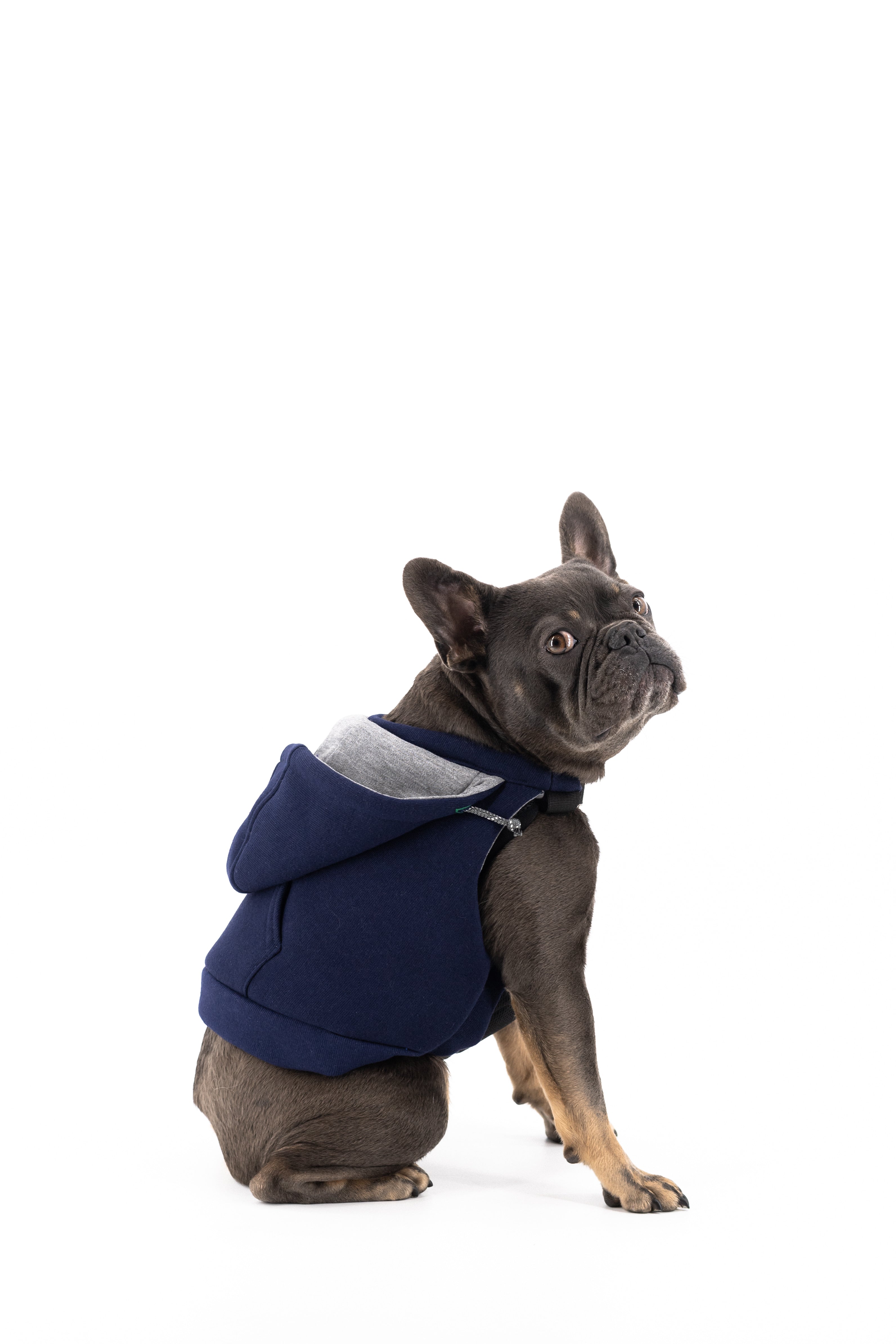 Dog Hooded Sweatshirt (K9 Harness Required)
