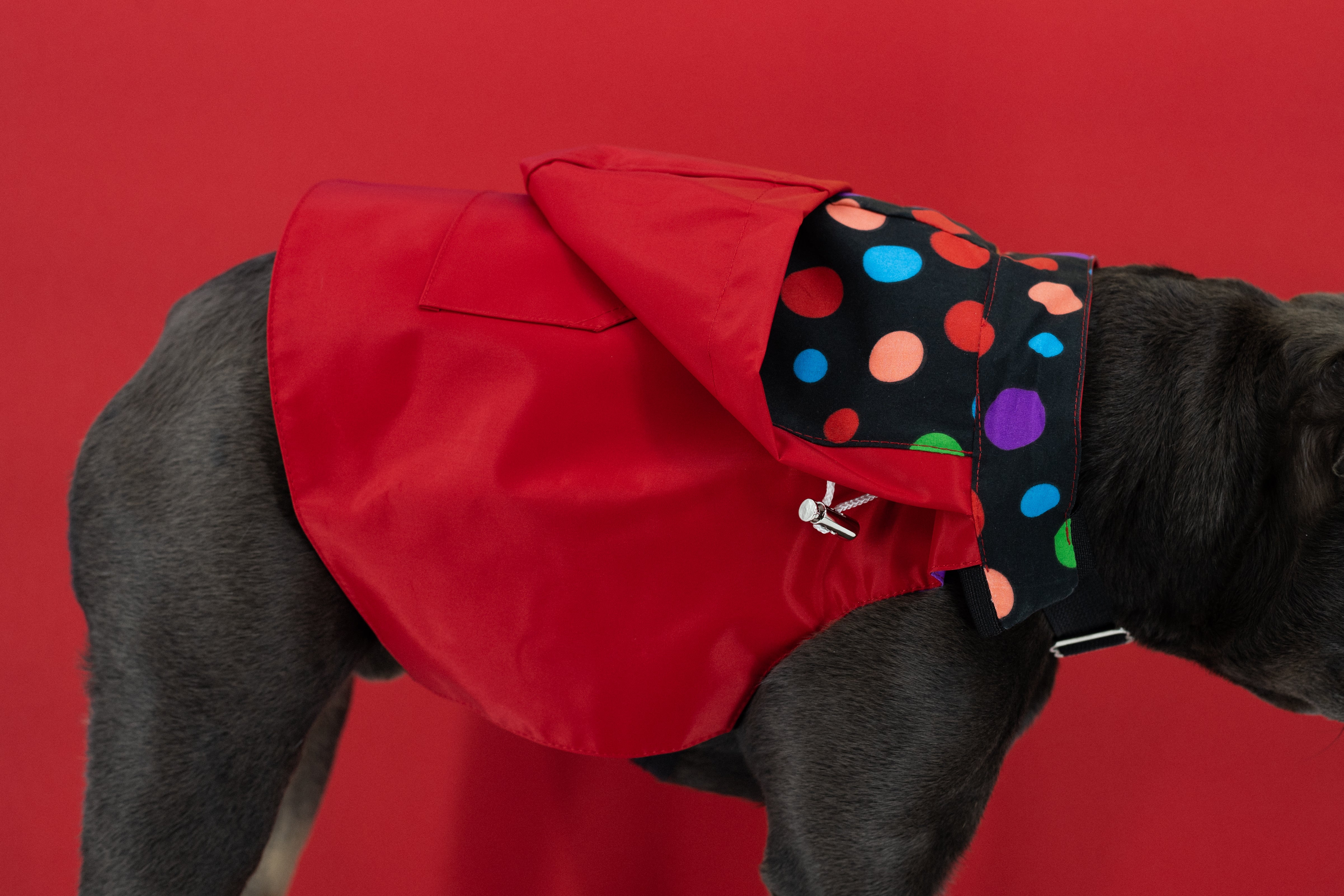 Dog Raincoat (K9 Harness Required)