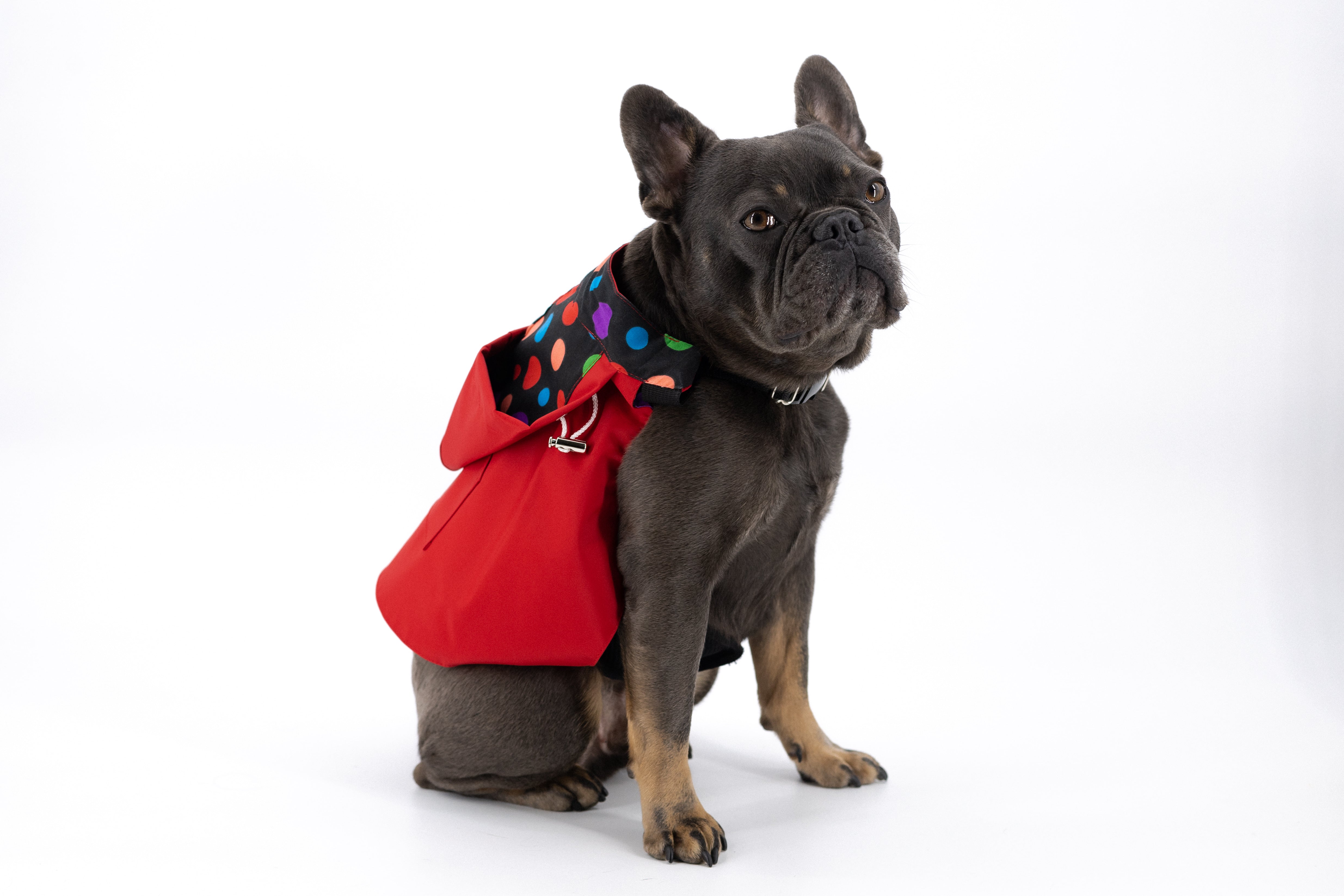 Dog Raincoat (K9 Harness Required)